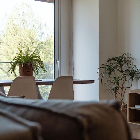 Alpes Da Montanha 501 - Apartamento Em Gramado Luaran gambar